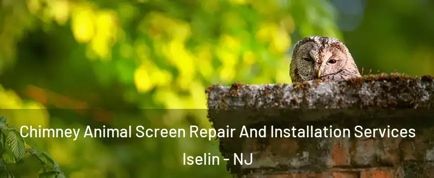  Chimney Animal Screen Repair And Installation Services Iselin - NJ