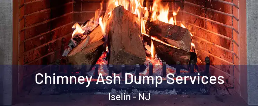  Chimney Ash Dump Services Iselin - NJ