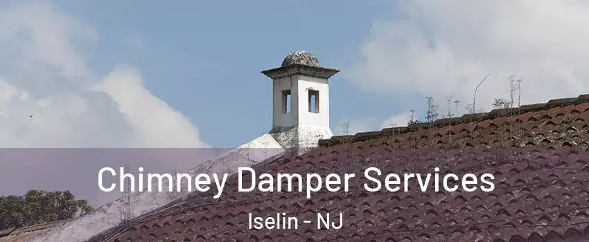  Chimney Damper Services Iselin - NJ