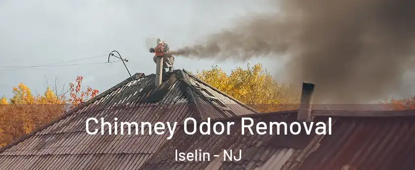  Chimney Odor Removal Iselin - NJ
