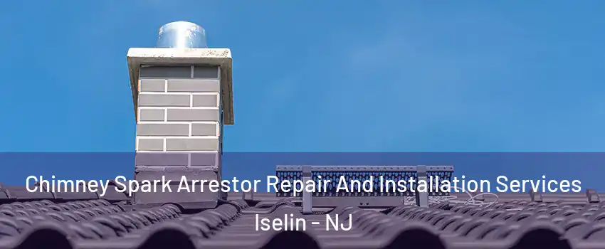  Chimney Spark Arrestor Repair And Installation Services Iselin - NJ