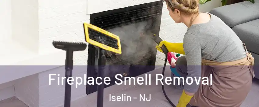  Fireplace Smell Removal Iselin - NJ