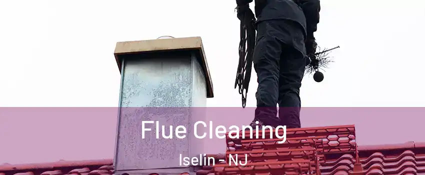  Flue Cleaning Iselin - NJ