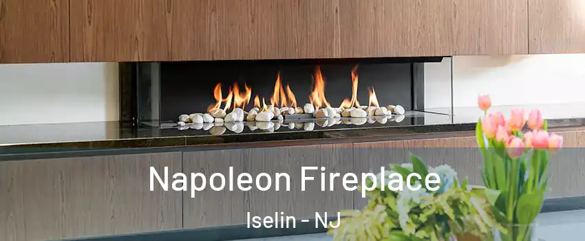  Napoleon Fireplace Iselin - NJ