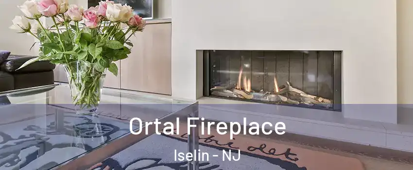  Ortal Fireplace Iselin - NJ
